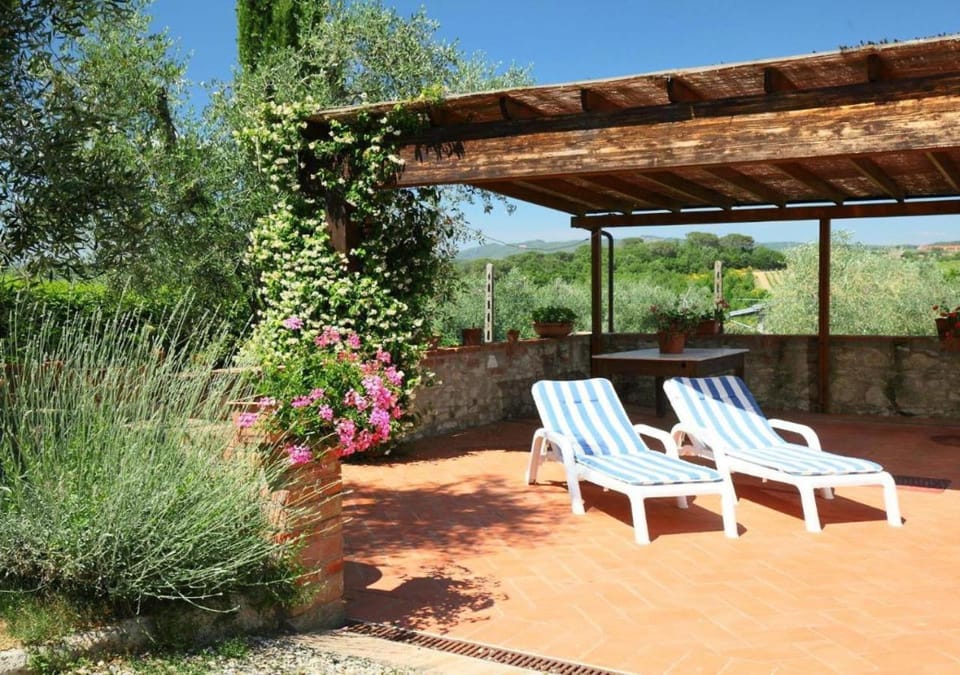 Patio, Spring, Garden, Garden view, sunbed