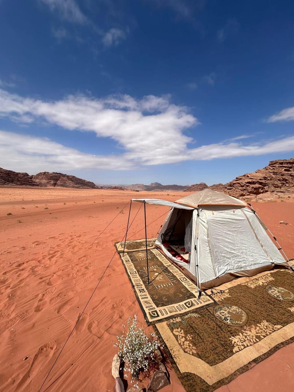 Wadi Rum Paris Cave Inn in South District