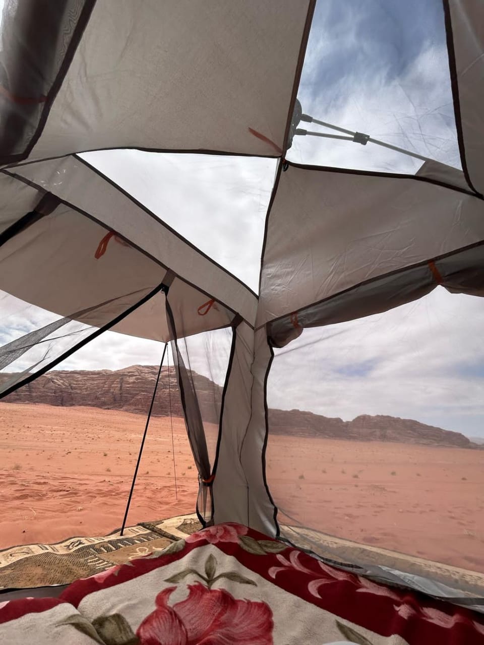 Wadi Rum Paris Cave Inn in South District
