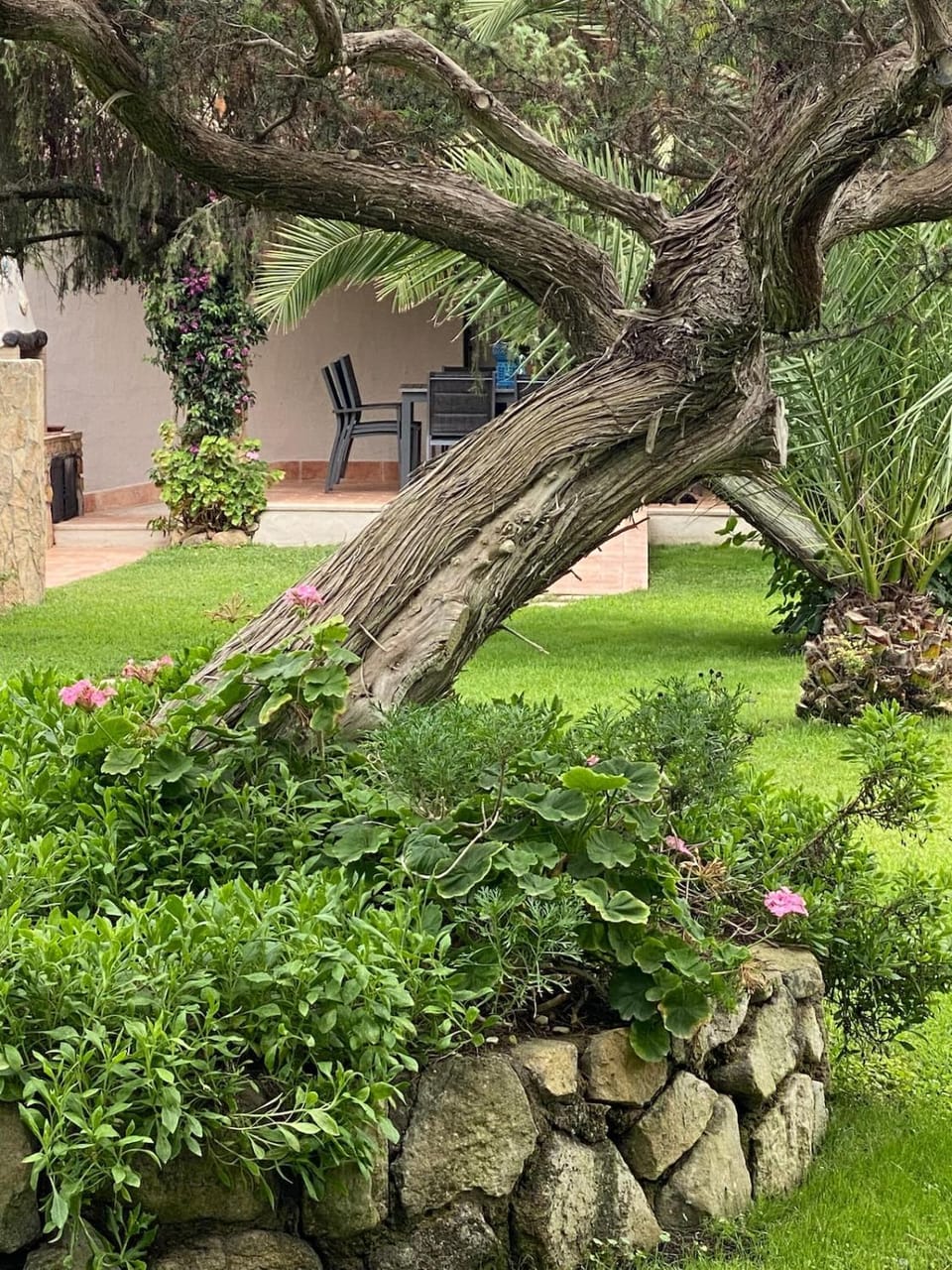 Garden, Garden view