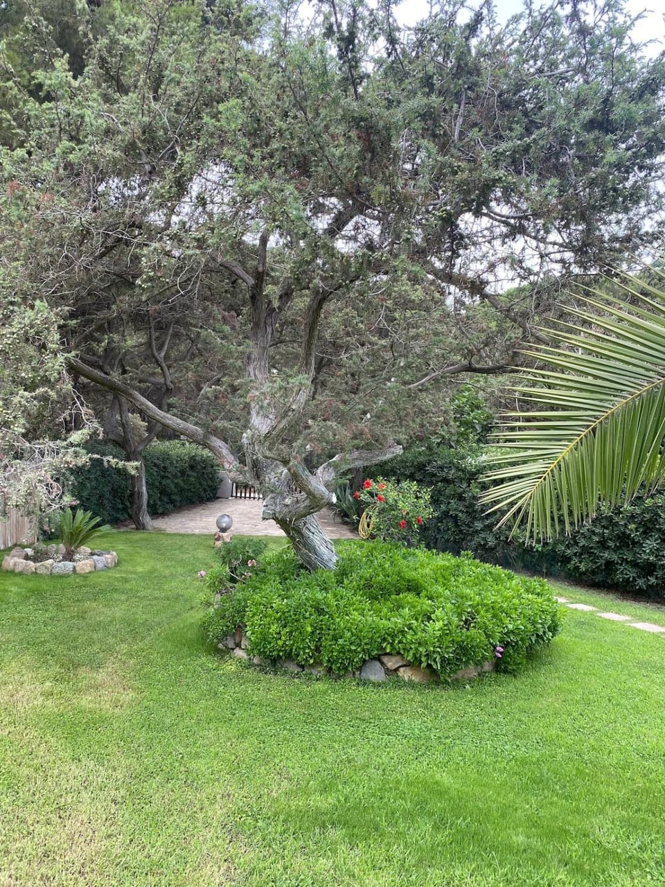 Garden, Garden view, Parking