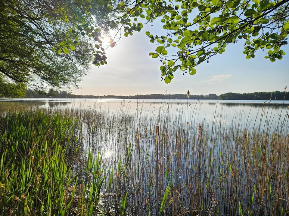 Natural landscape