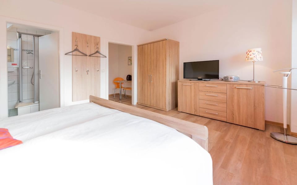 TV and multimedia, Photo of the whole room, wardrobe