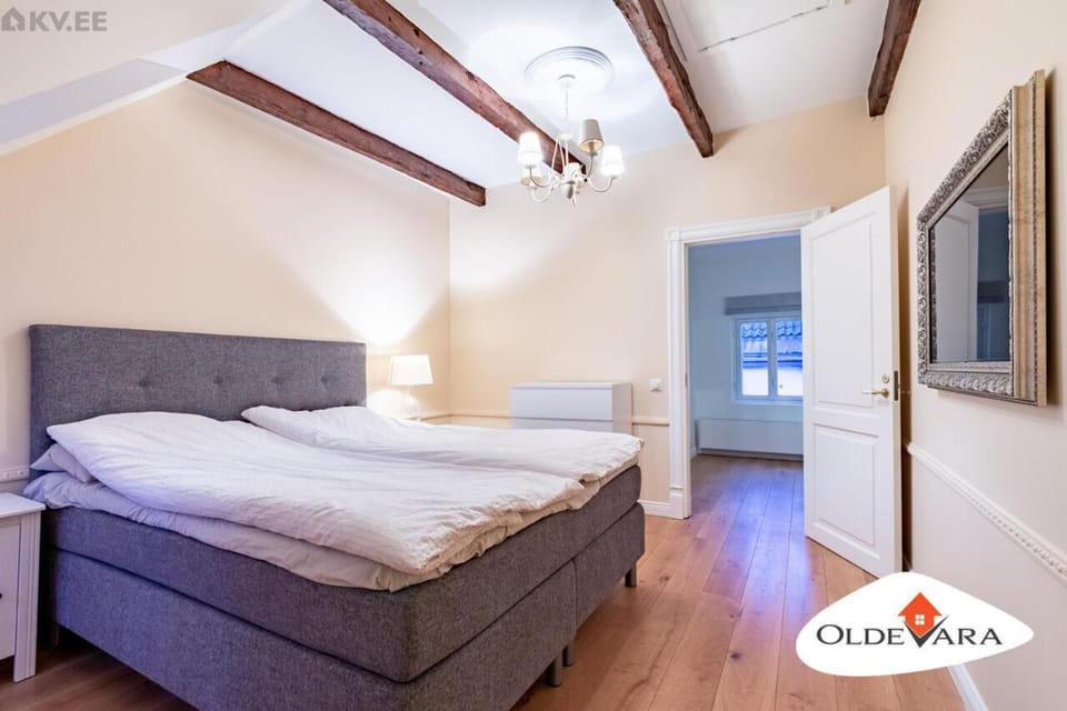 Vene 19 Heritage Residence with sauna Apartment in Tallinn