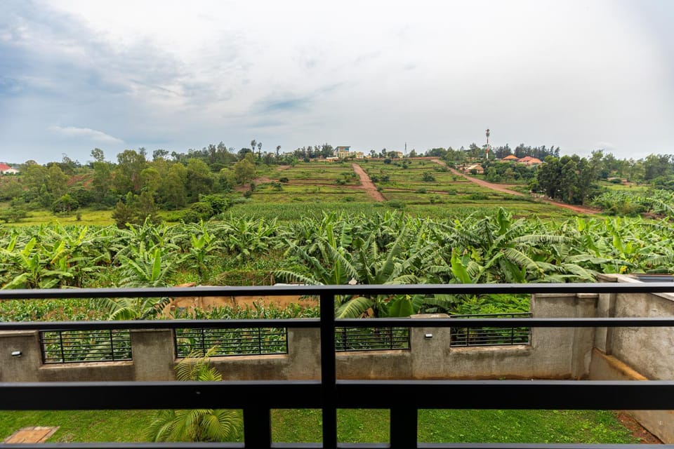 Day, Natural landscape, Garden, Garden view, Mountain view