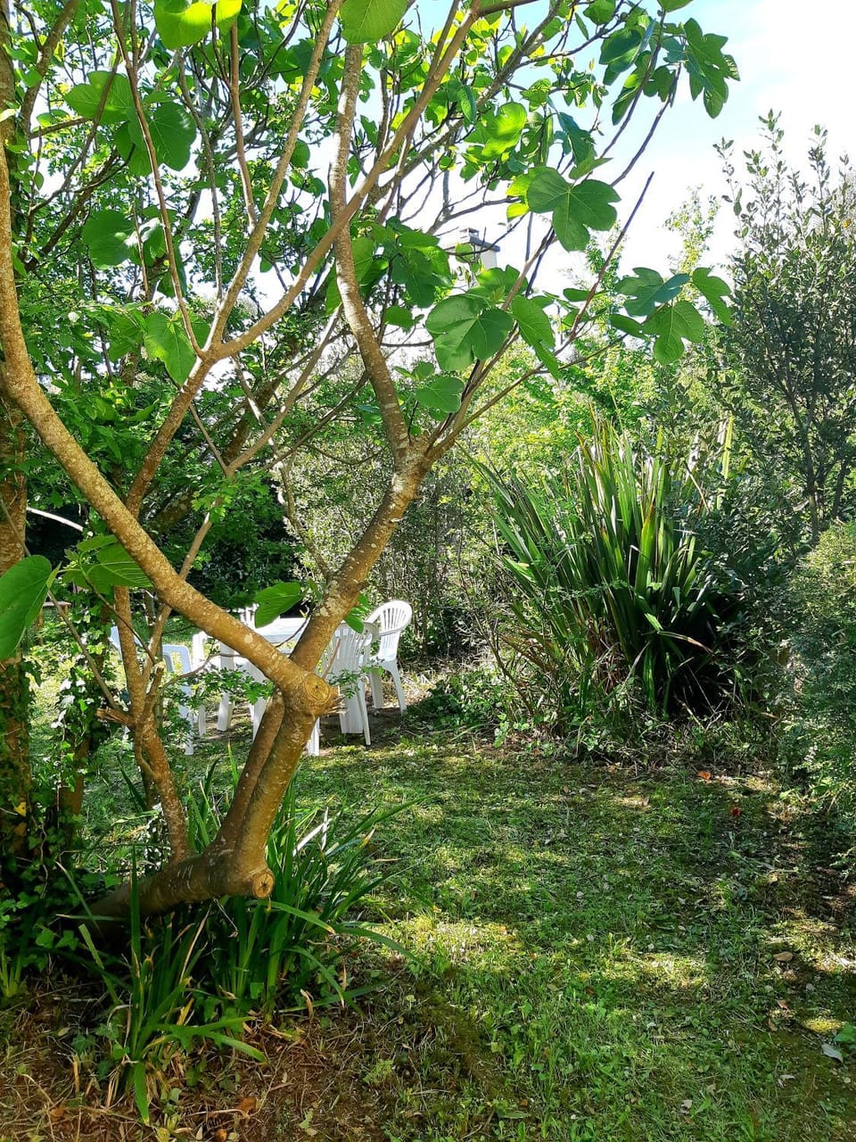 Calmos Cottage Apartment in Barneville-Carteret