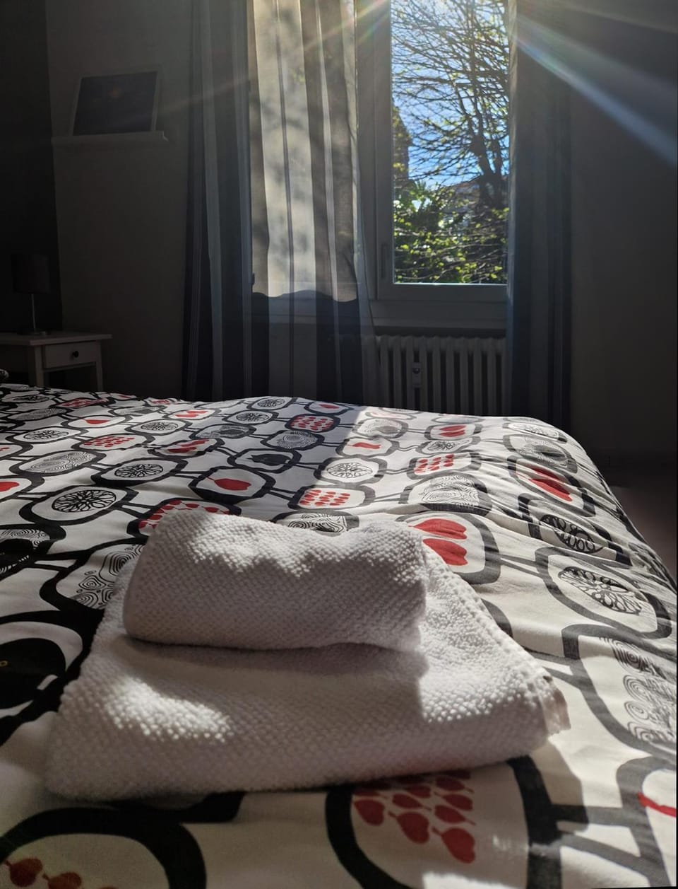 Bed, Photo of the whole room, Bedroom, towels