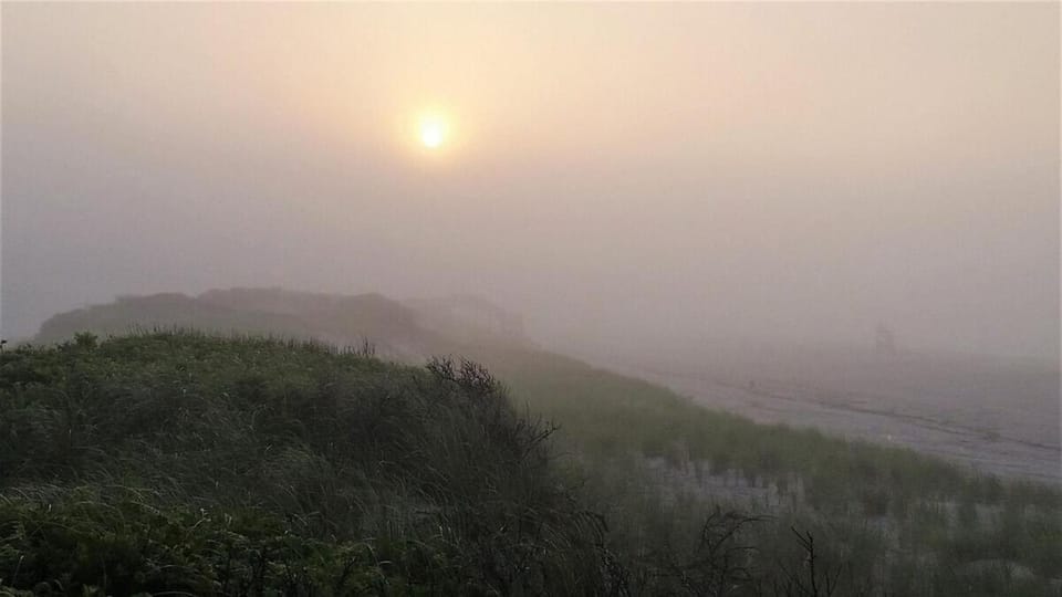 Natural landscape