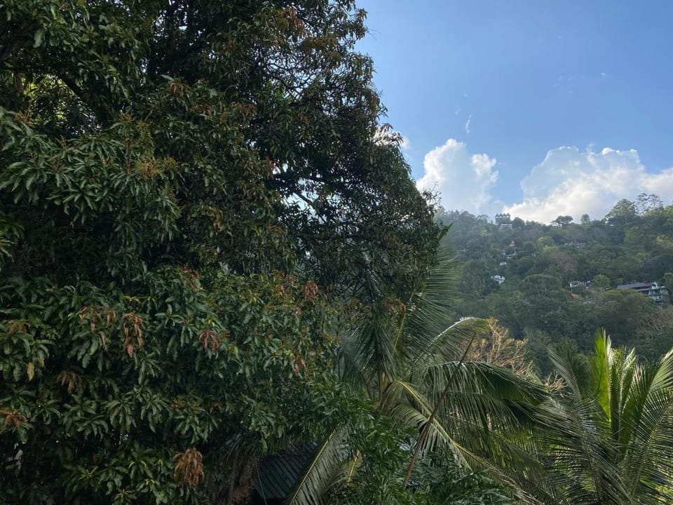 Natural landscape, Mountain view