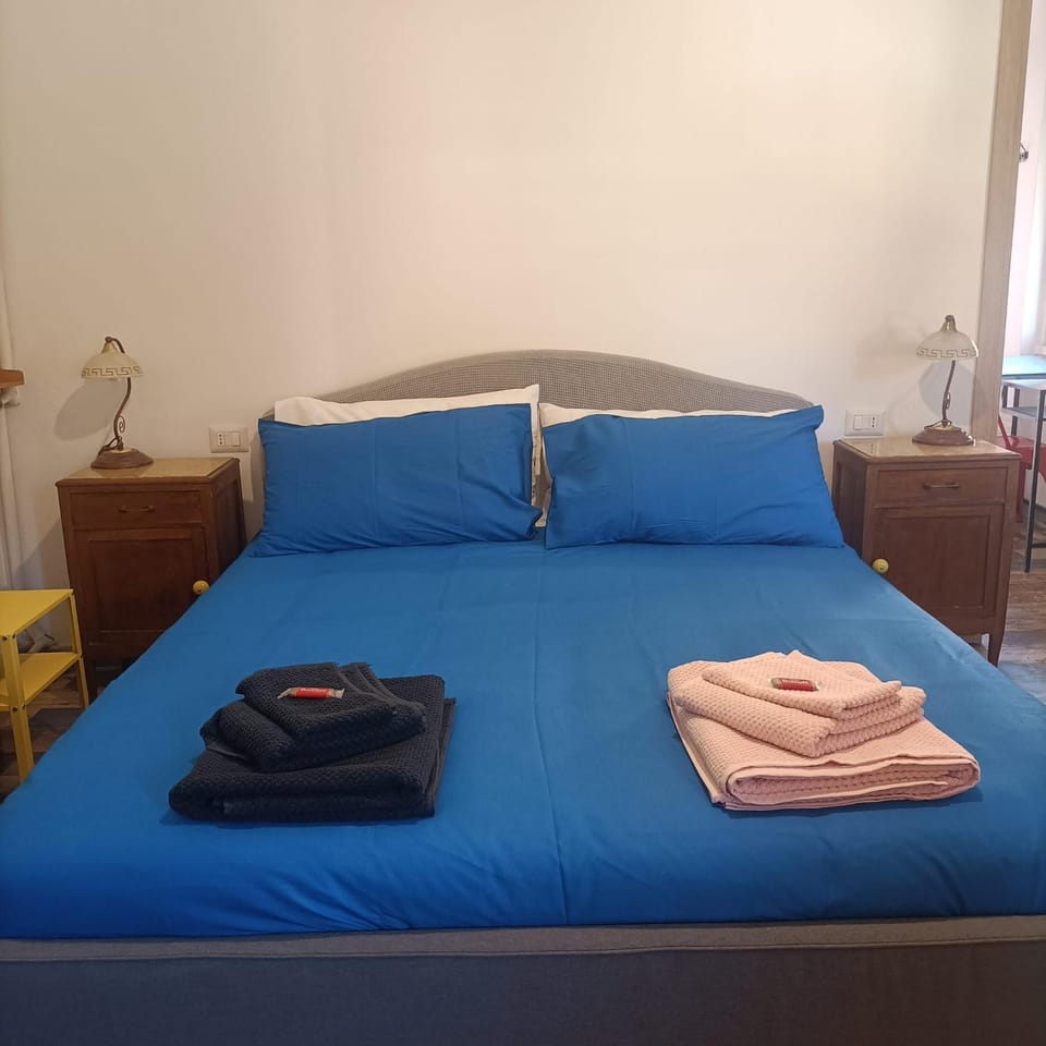 Bed, Photo of the whole room, Seating area, Animals, Animals, Animals, Bedroom, Pets, locker, towels, wardrobe, air conditioner