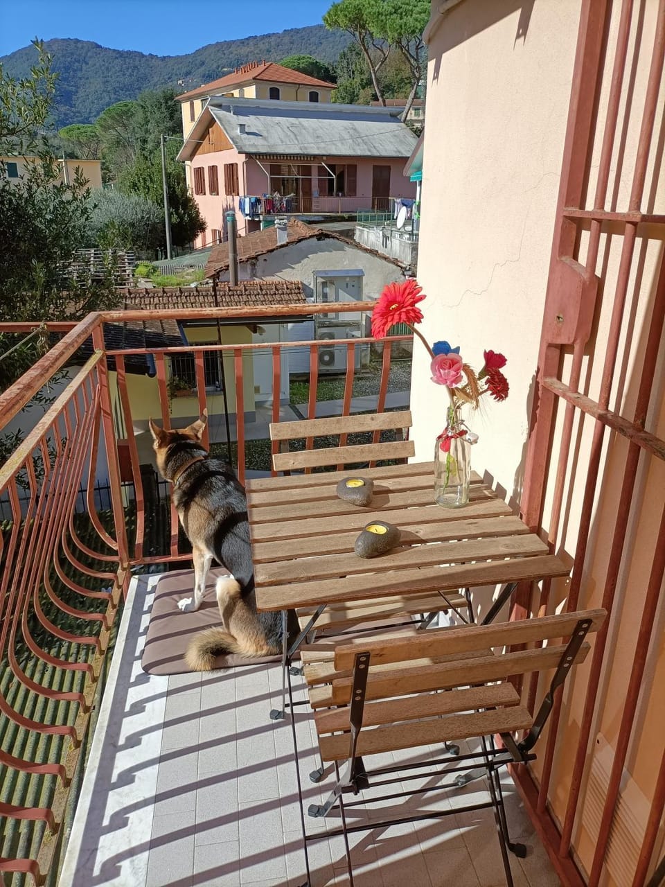 Balcony/Terrace, Dining area, Animals, Pets, pet friendly, kitchen