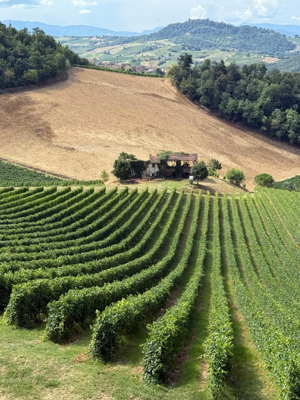 Natural landscape