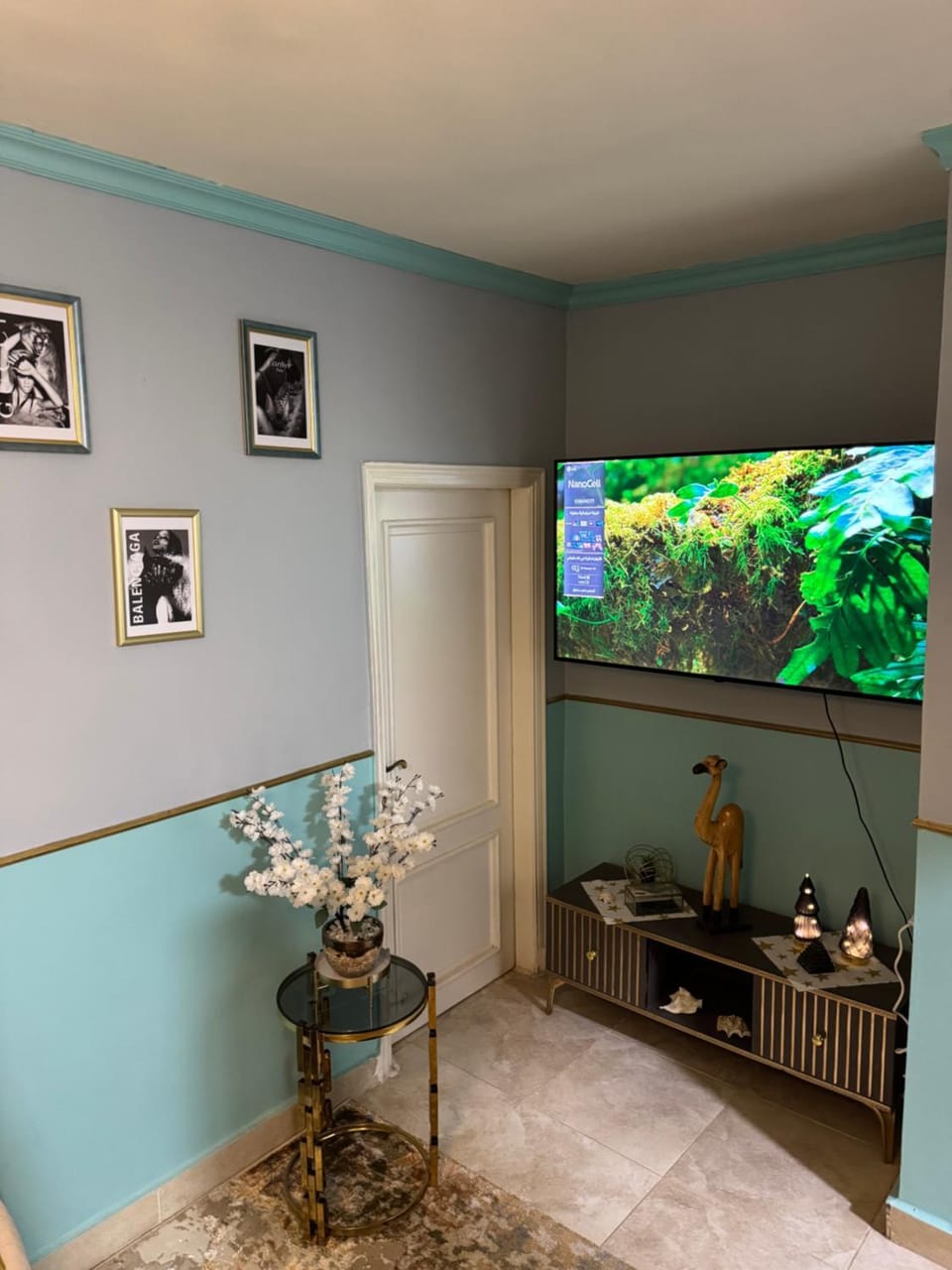 TV and multimedia