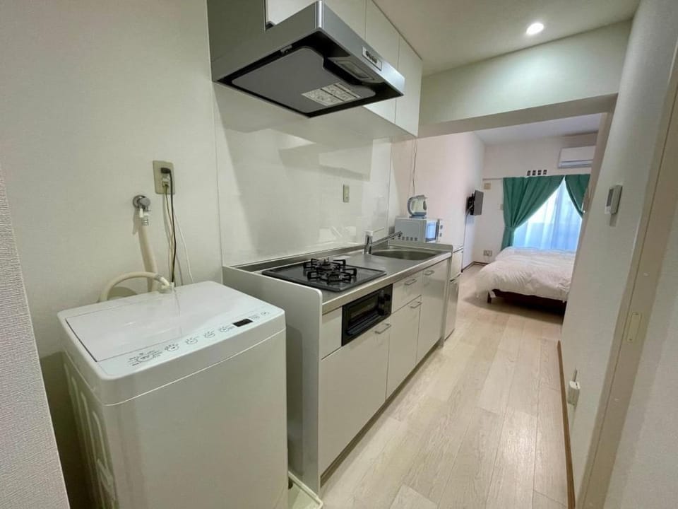 Kitchen or kitchenette, stove, washing machine