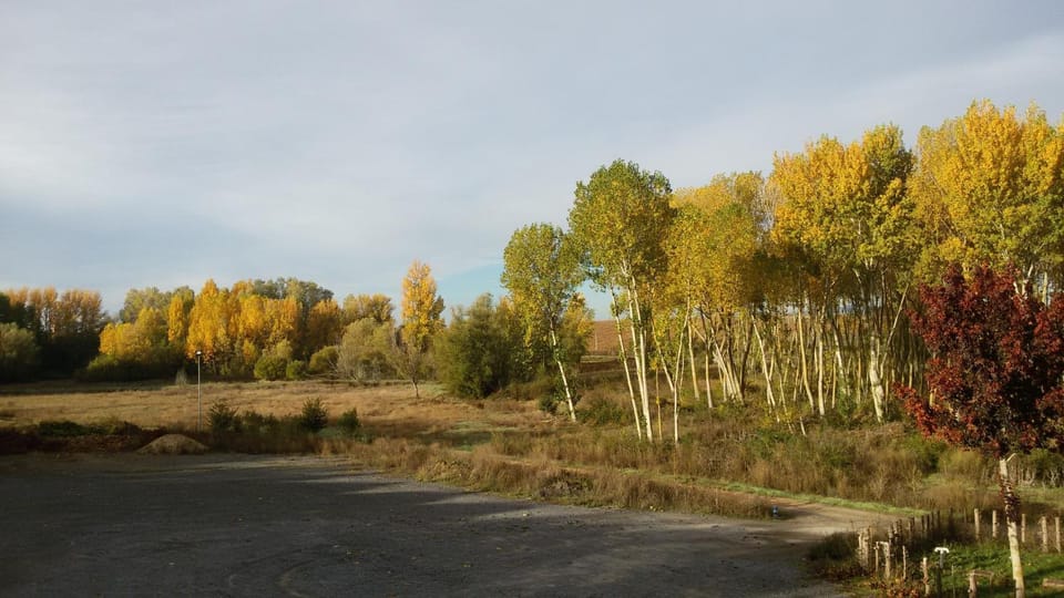 Garden view, Street view