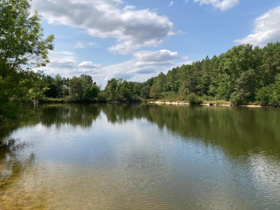 Natural landscape, Fishing, Lake view