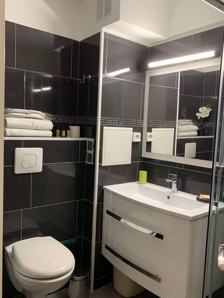 Shower, Toilet, Bathroom, towels