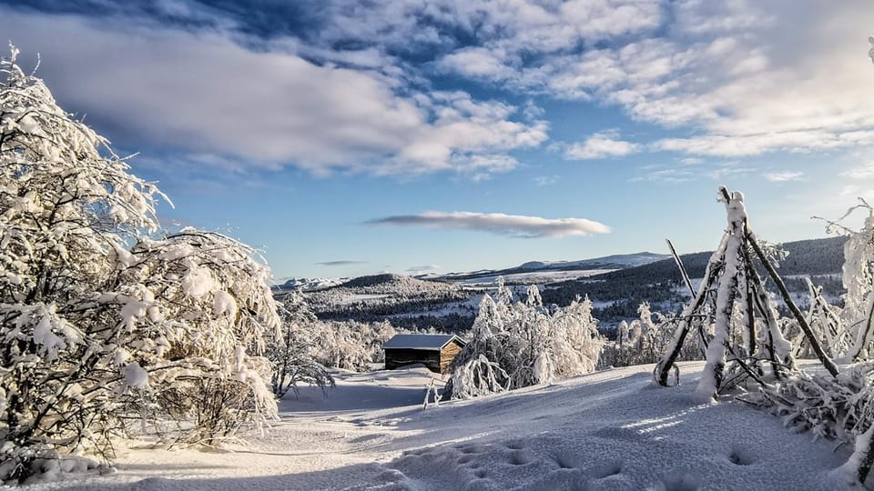 Day, Natural landscape, Winter, Garden, Mountain view