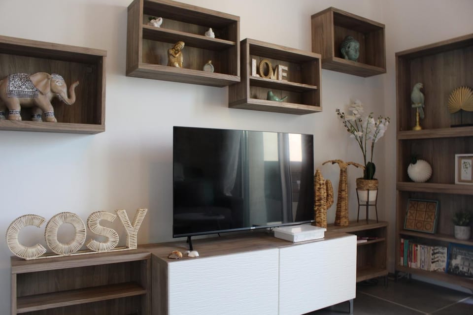 TV and multimedia