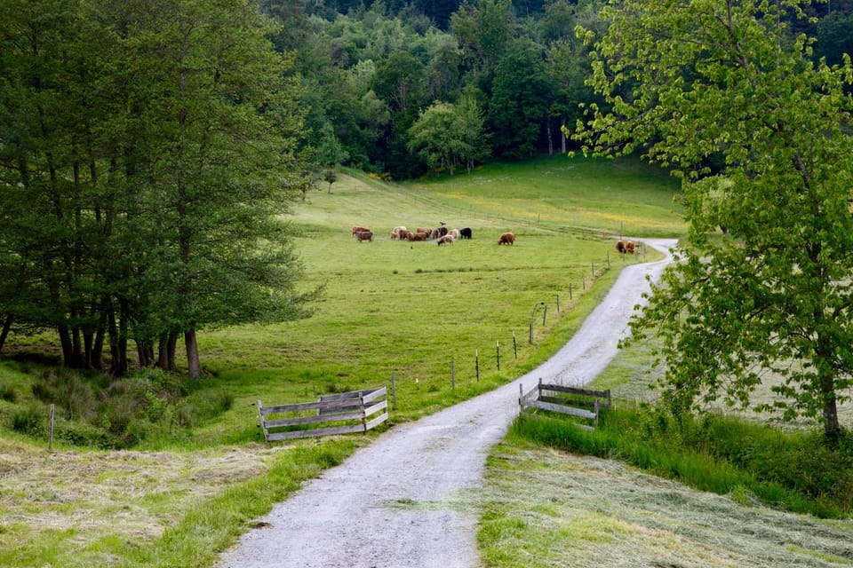 Spring, Day, Natural landscape, Hiking, Animals