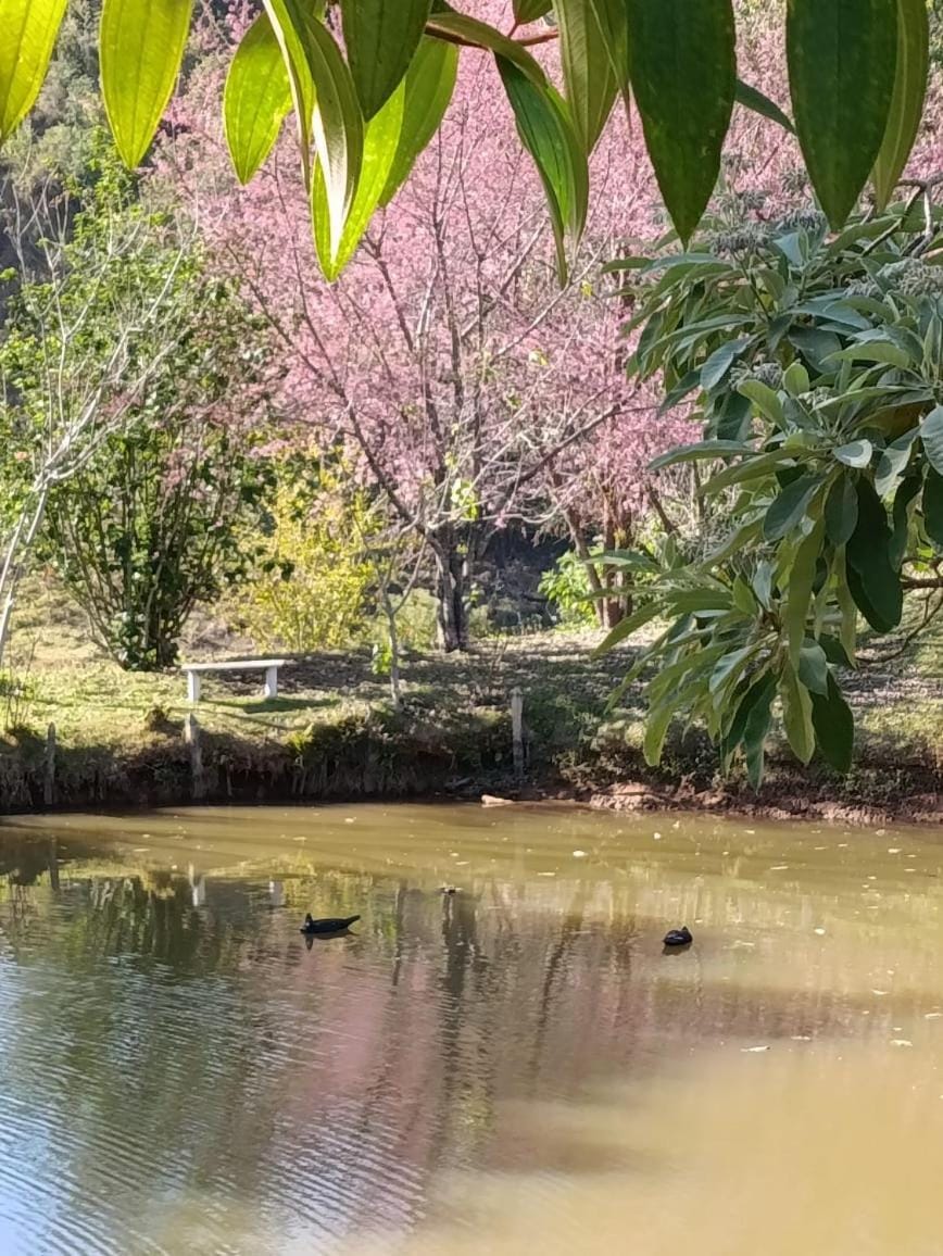 Day, Natural landscape, Lake view