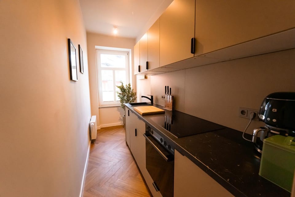 Kitchen or kitchenette, oven, stove