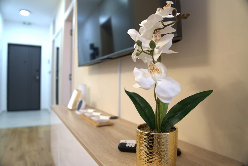 Apartment Alina with Garage East Sarajevo Apartment in Federation of Bosnia and Herzegovina