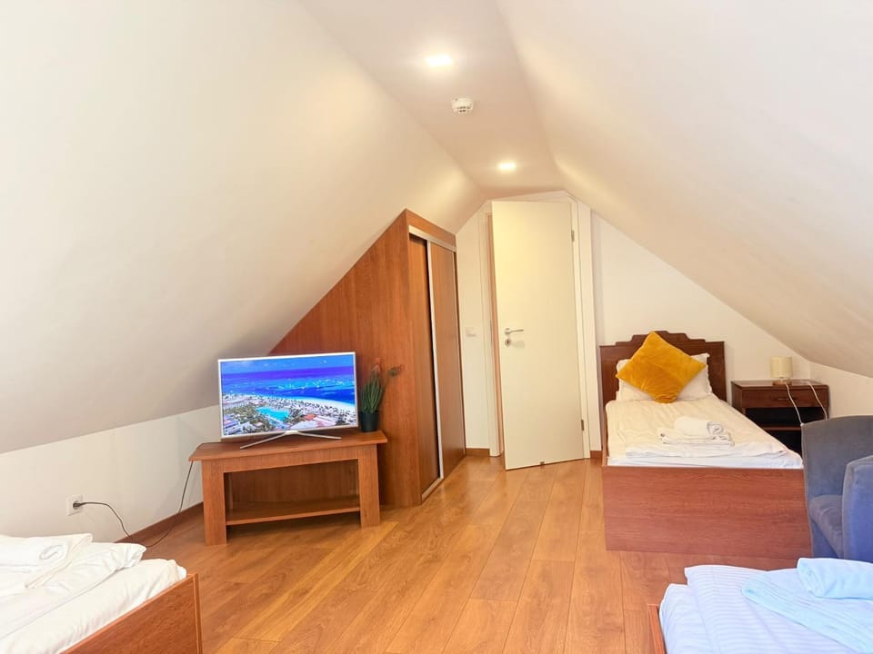 SunShine Villa Brasov Villa in Brasov