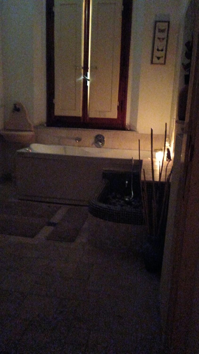 Spa and wellness centre/facilities