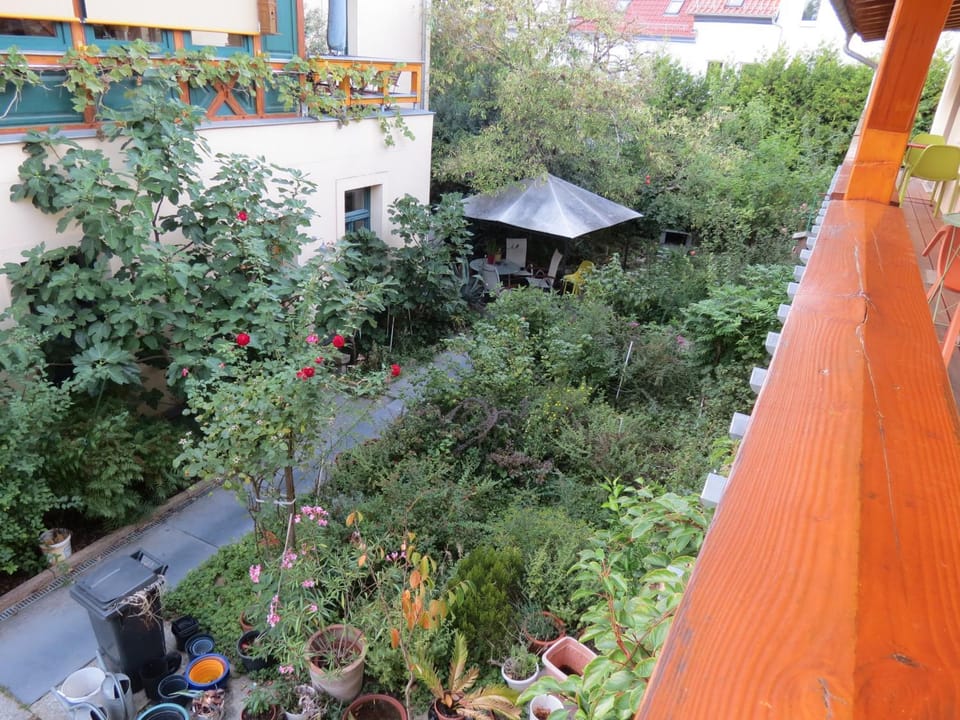 Garden view