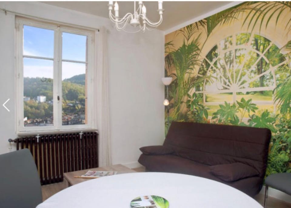 Joli appartement avec vue, idéal pour votre cure Apartment in Auvergne-Rhône-Alpes