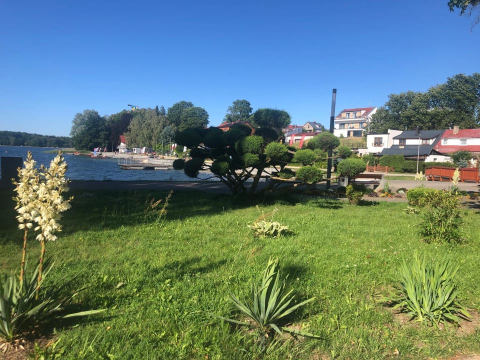 Lake view