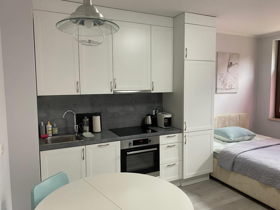 Kitchen or kitchenette, Photo of the whole room, dishwasher, stove, toaster