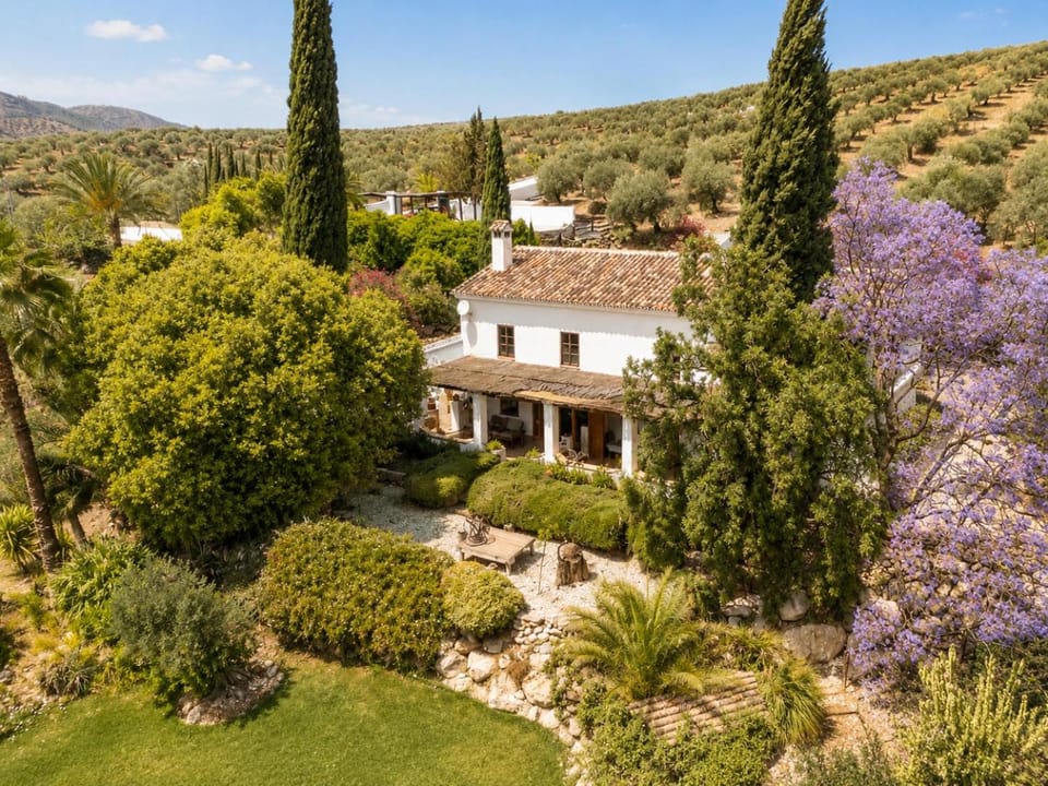 Property building, Bird's eye view, View (from property/room), Garden view