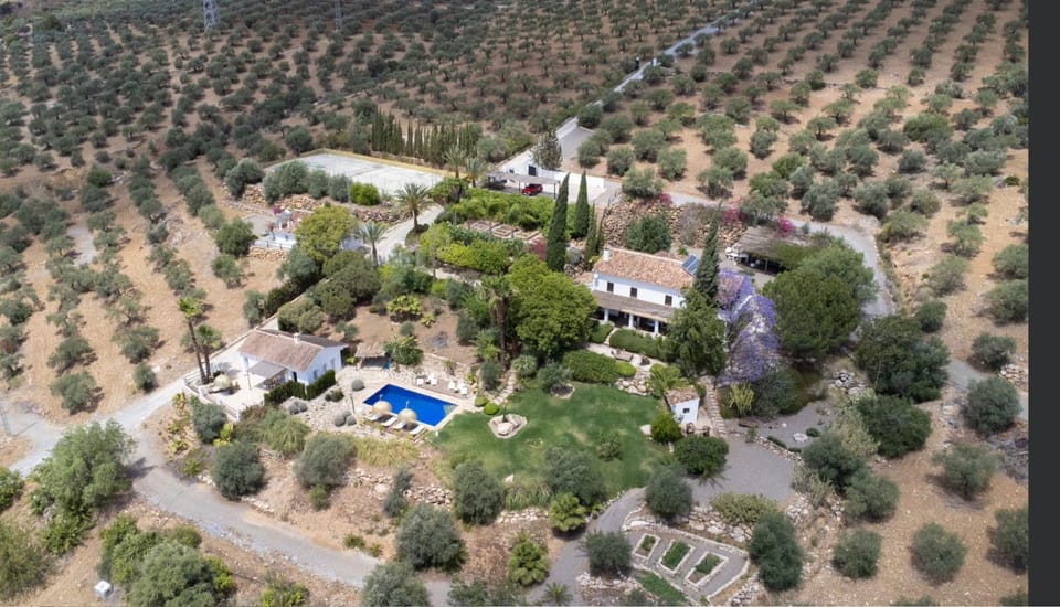 Day, Natural landscape, Bird's eye view, Pool view, Swimming pool