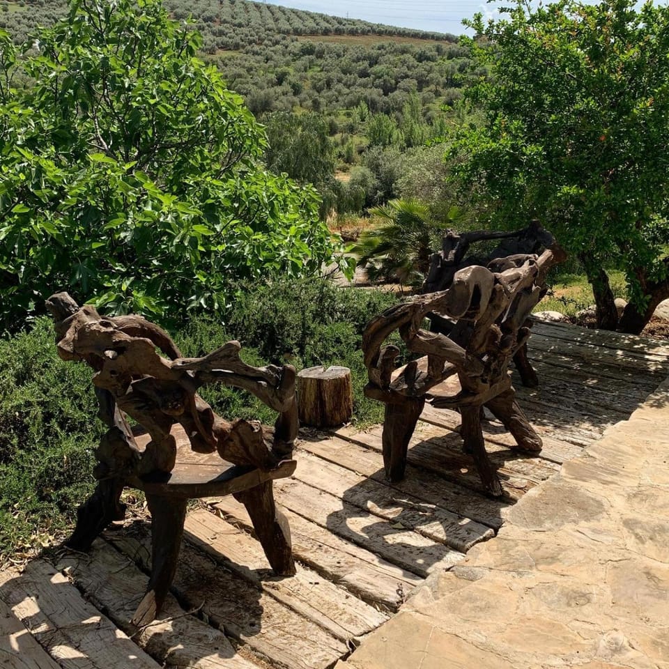 Day, Natural landscape, Garden, Garden view