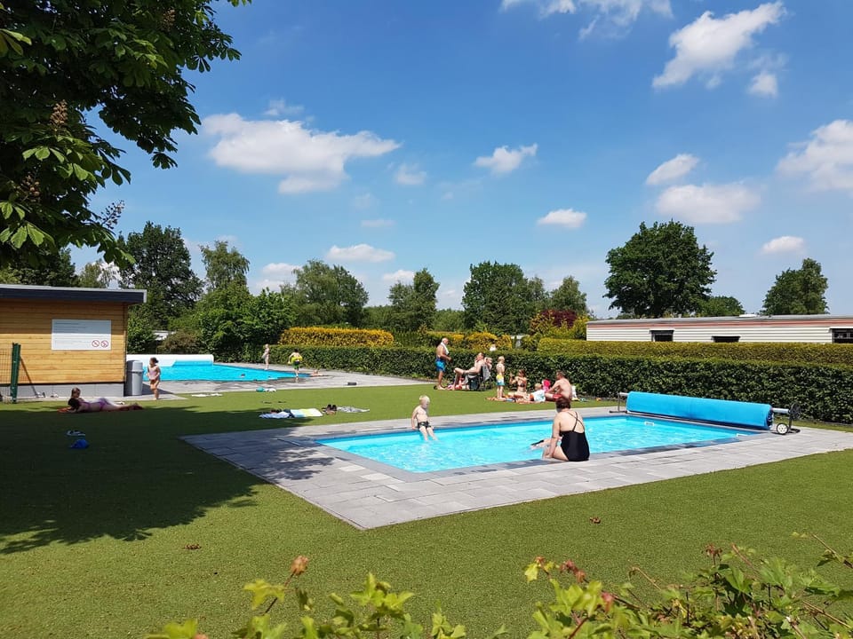 Garden, Pool view, Swimming pool