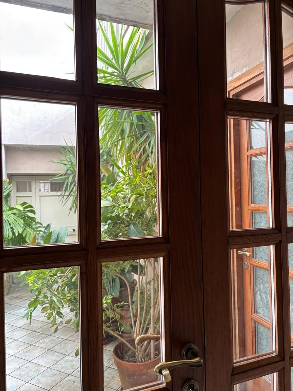 Garden view