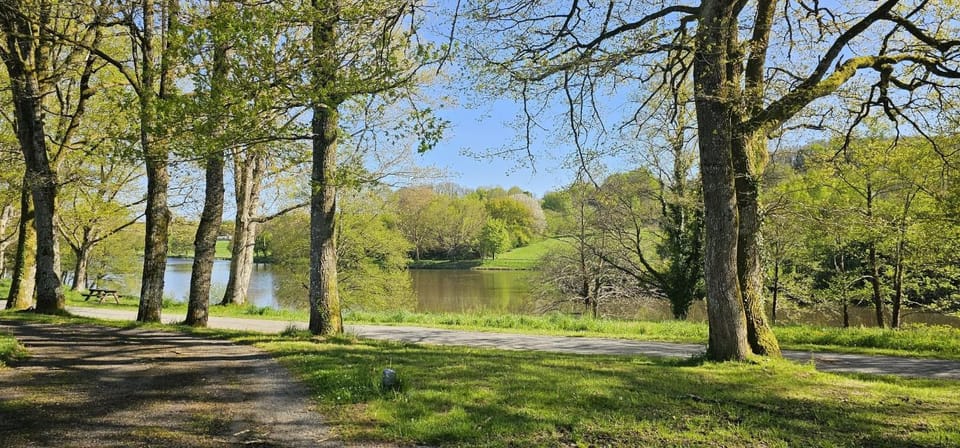 Lake view