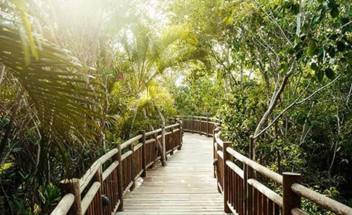 2 Bedroom Suite Hotel in State of Nayarit