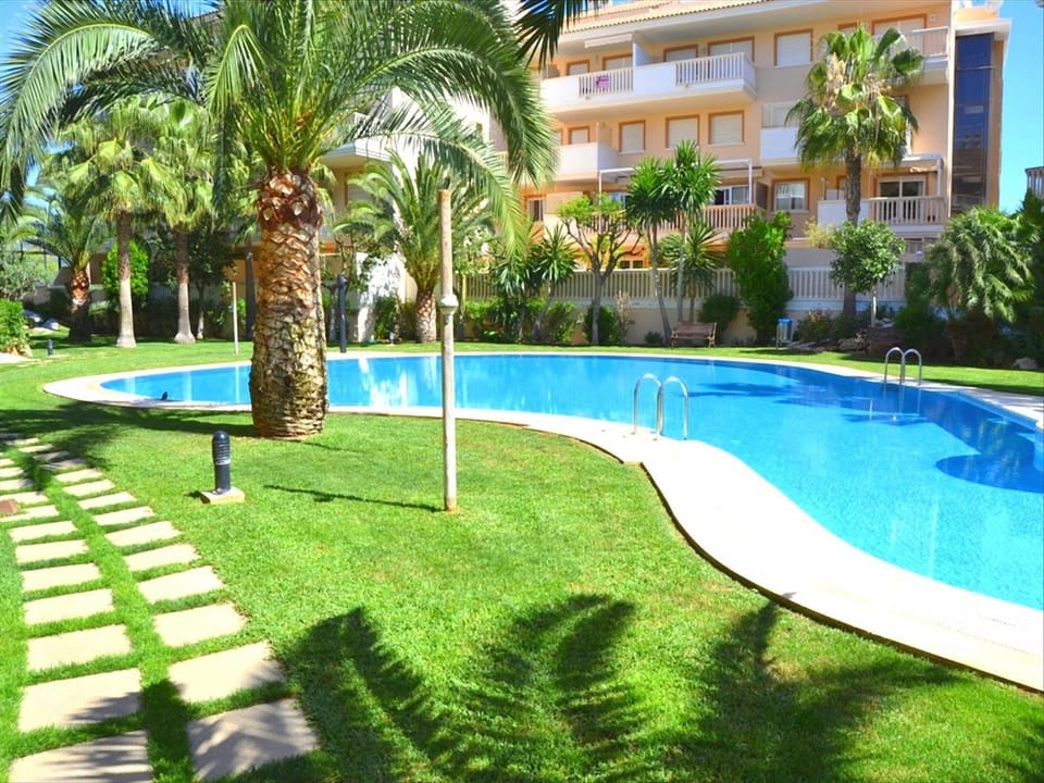 Garden, Swimming pool