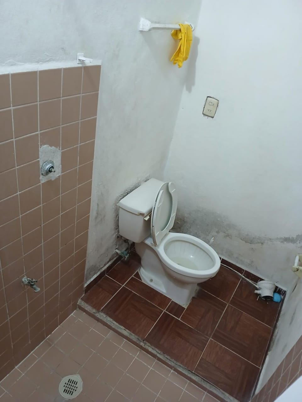 Rhinos House Apartment in San Miguel de Cozumel