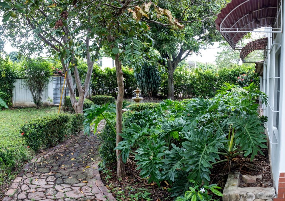 Garden view