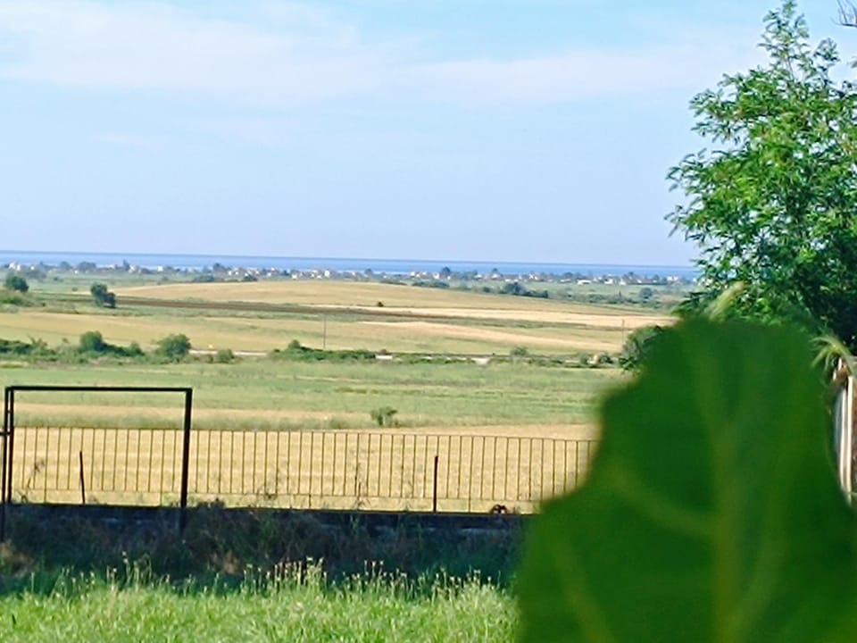 Natural landscape