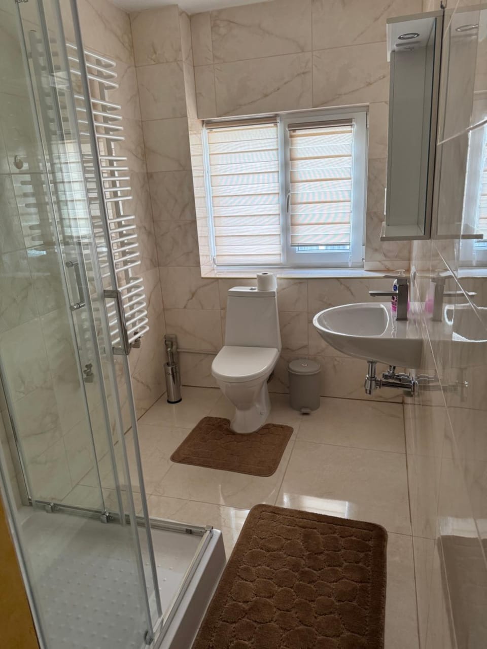 Shower, Toilet