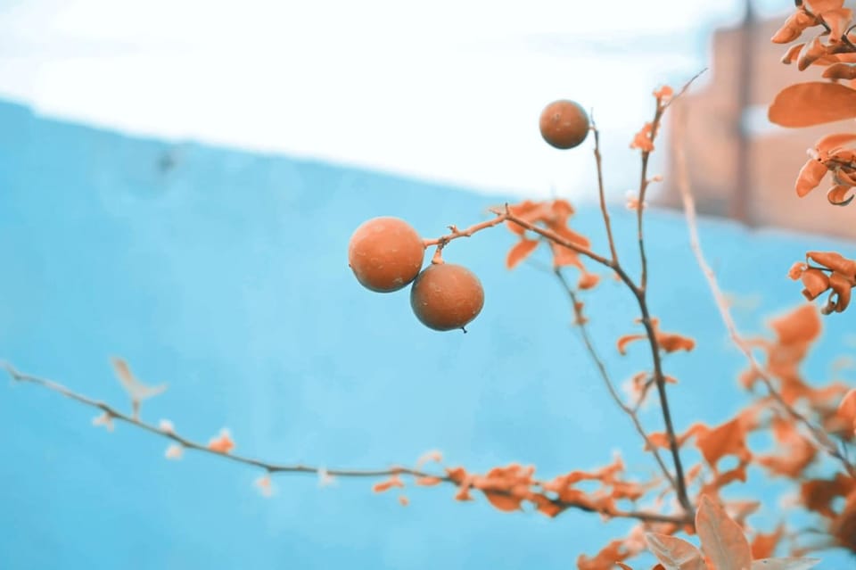 दाऊजी ब्रज धाम आस्था और शांति Vacation rental in Uttar Pradesh