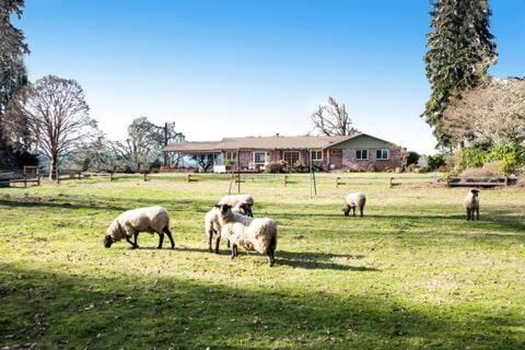 Natural landscape, Animals