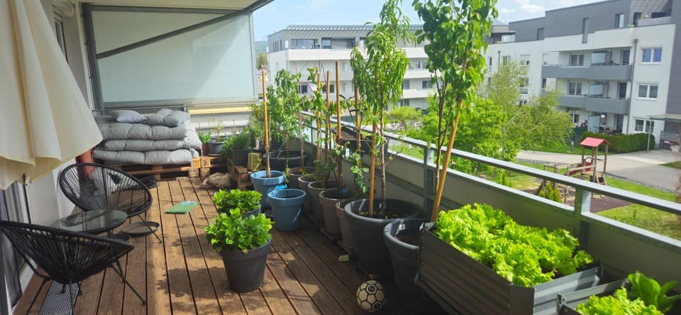 Modern bright apartment in an amazing location Apartment in Klagenfurt