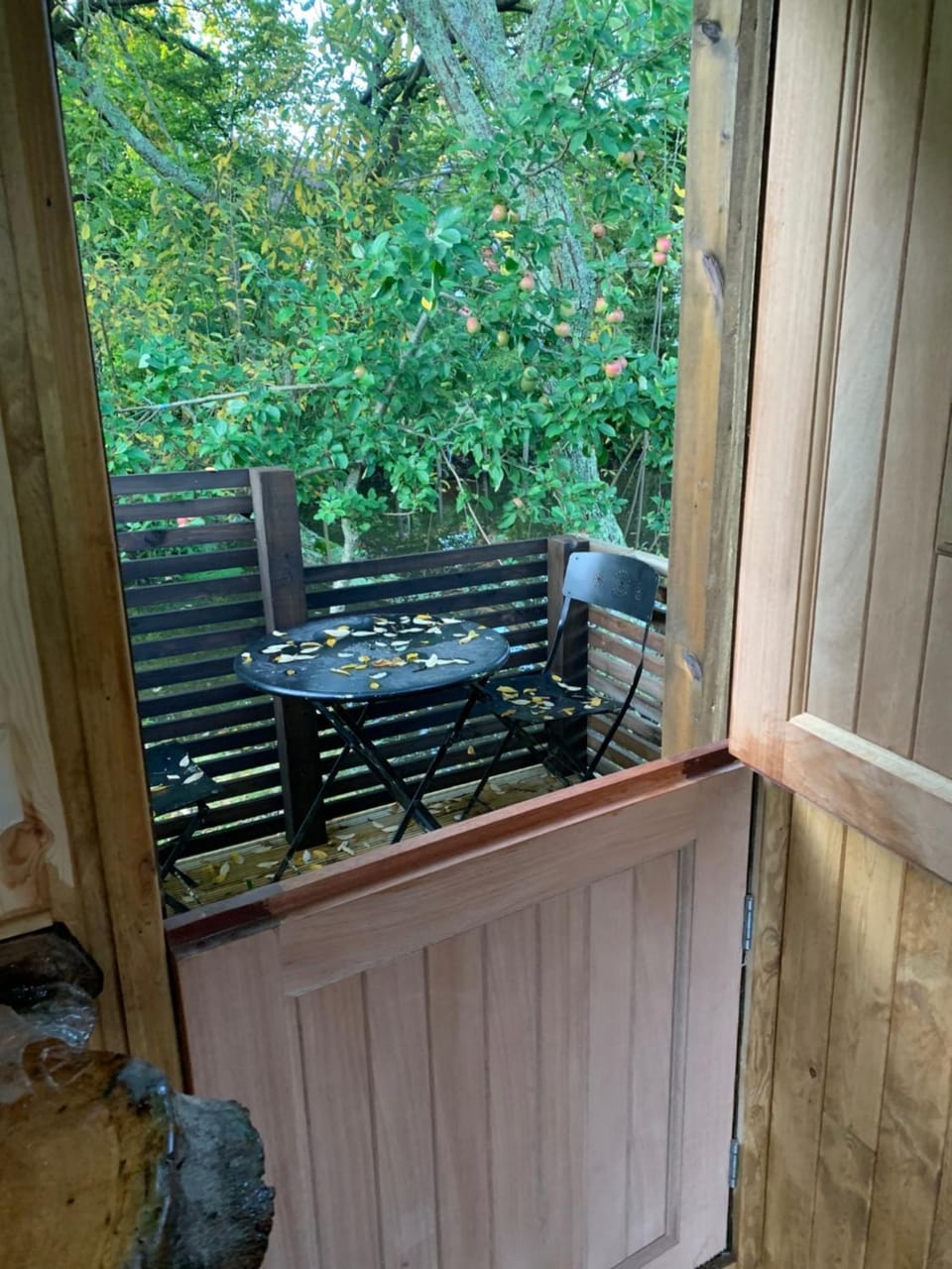 Patio, Balcony/Terrace