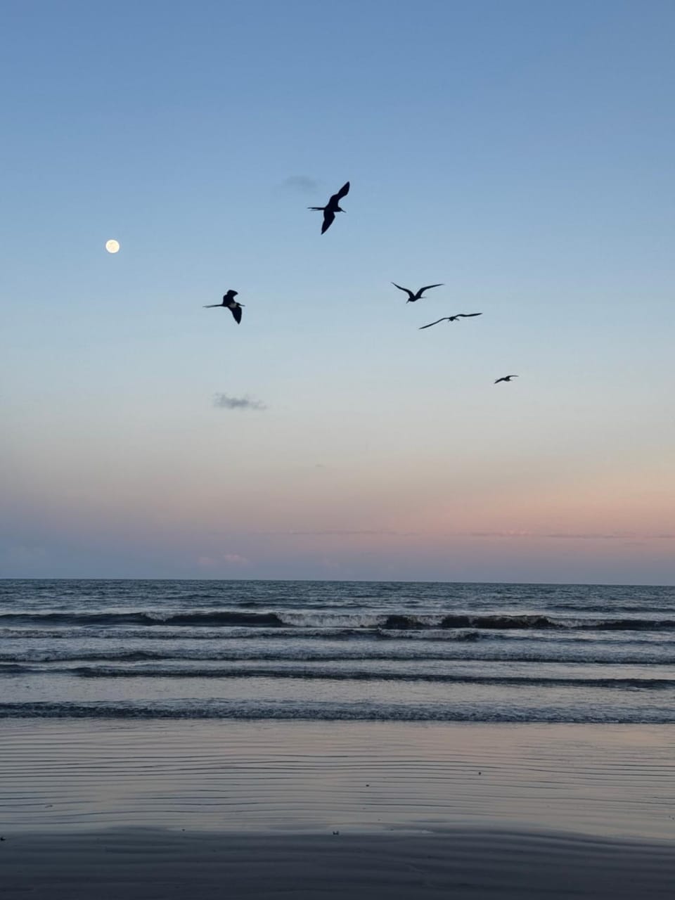 Sea view, Sea view, Sunrise, Sunset